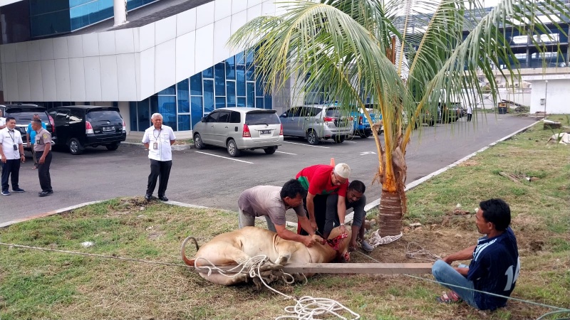 PT BNA : MEUGANG UNTUK SILATURRAHIM