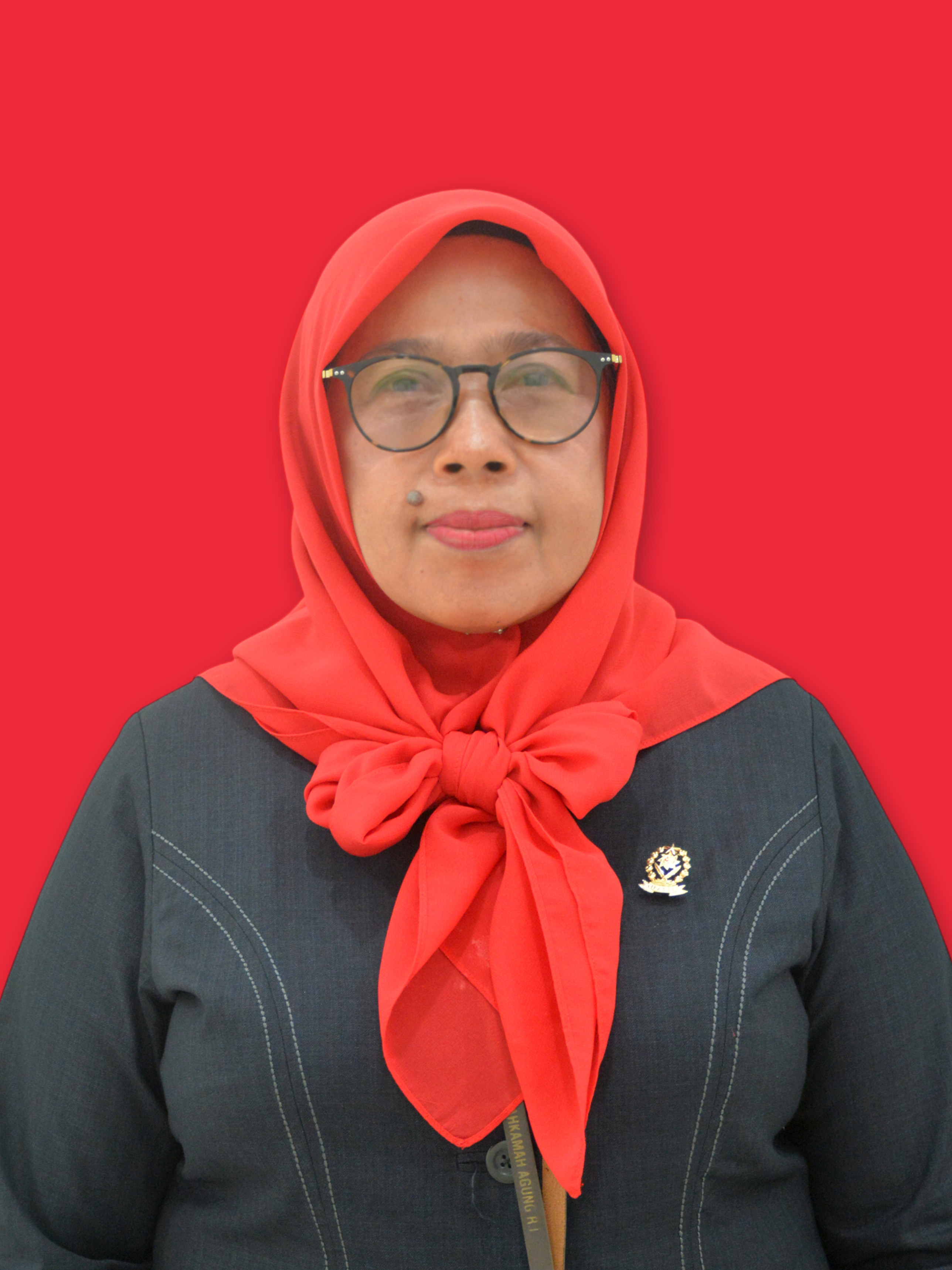 AZMEILIZA AMINUDDIN, S.H.
